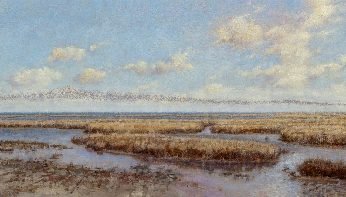 Friese landschappen Terschelling Waddenzee