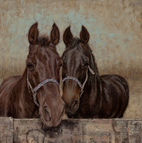 Nieuwsgierige paarden Nieuwsgierige paarden