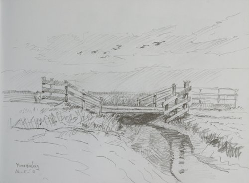 Noorderleeg, ganzen boven brug Noorderleeg, ganzen boven brug