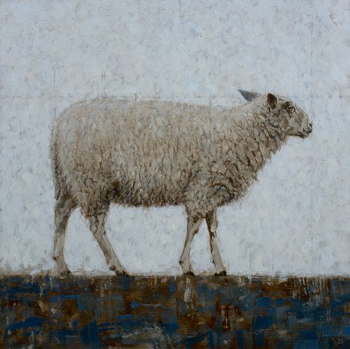 Dijkschaap Dijkschaap